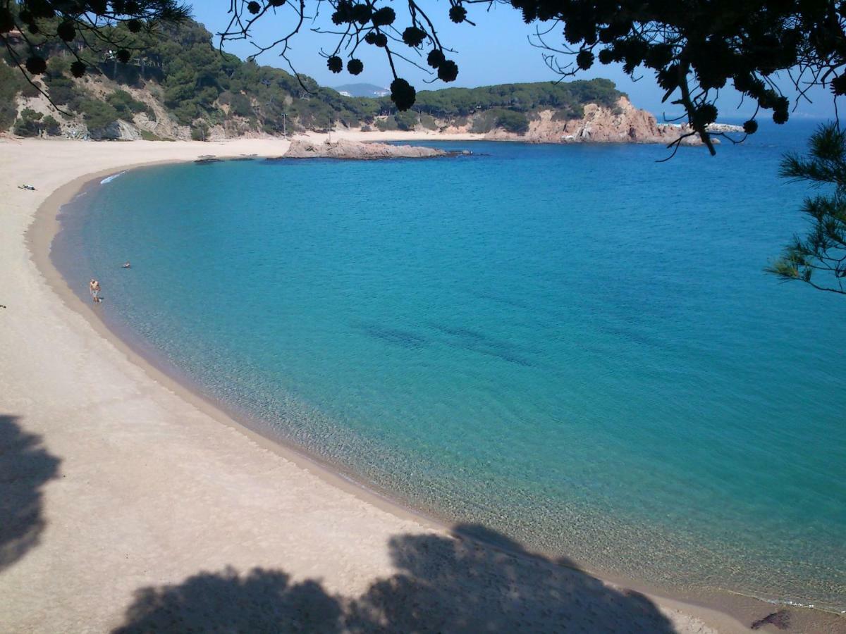 Vidabrava Sagaro Garden, Jardin Privado, Piscina, 150 M Playa Διαμέρισμα S'Agaro Εξωτερικό φωτογραφία