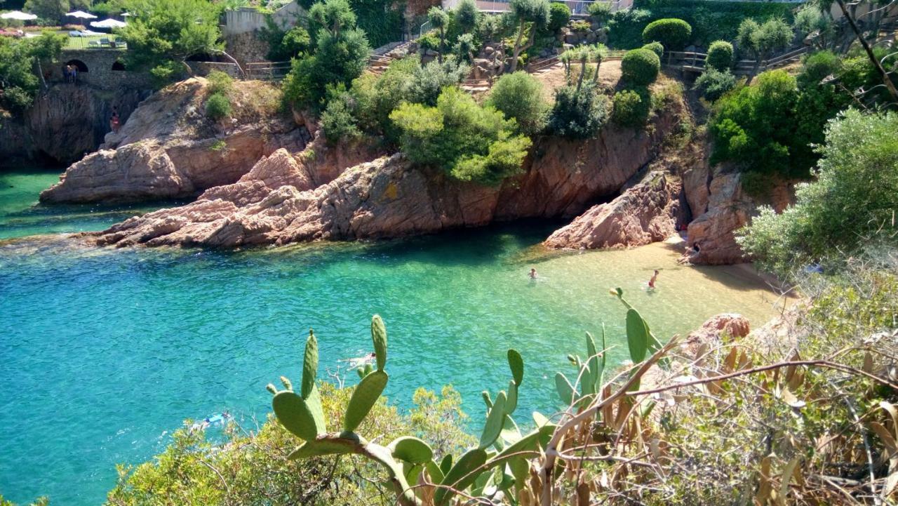 Vidabrava Sagaro Garden, Jardin Privado, Piscina, 150 M Playa Διαμέρισμα S'Agaro Εξωτερικό φωτογραφία